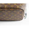 Louis Vuitton Limited Edition MM Neverfull